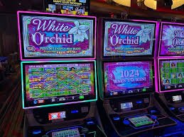 Tampilan jadwal undian kepritogel com dengan slot games tersedia